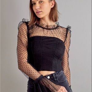 New Dotted Lace Cropped Top Blouse